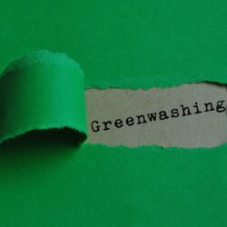 Lire la suite à propos de l’article Le greenwashing: entre mensonges et vert-ités