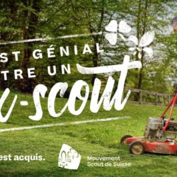 Lire la suite à propos de l’article La campagne de communication du Mouvement Scout de Suisse: de la communication publique?