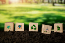 Lire la suite à propos de l’article QUIZ : Communication responsable ou greenwashing ? Testez vos connaissances !