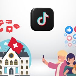 Lire la suite à propos de l’article Les institutions publiques sur TikTok : est-ce vraiment compatible ?