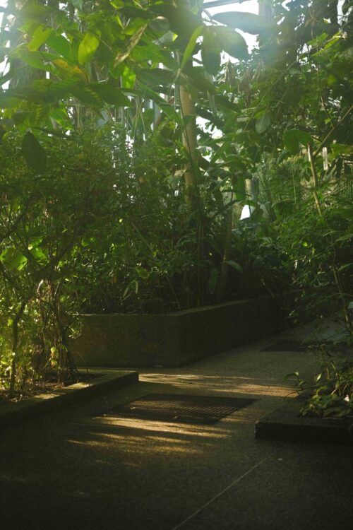 Jardin botanique de Berne